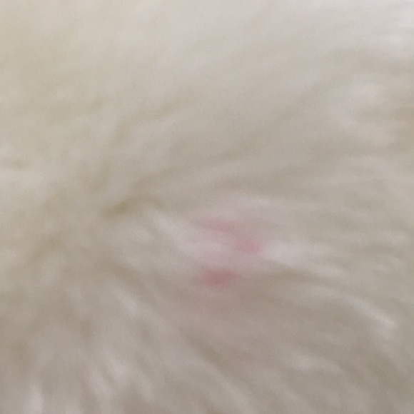 Gap white fluffy puff purse - Picture 3 of 7